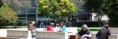 /album/photogallery-working-together/eci-students-3-jpg/